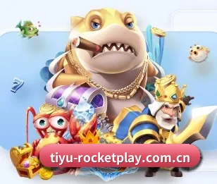 开云体育app的故事
