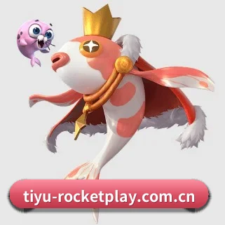 开云体育资讯 APP