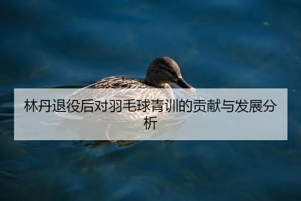 林丹退役后对羽毛球青训的贡献与发展分析