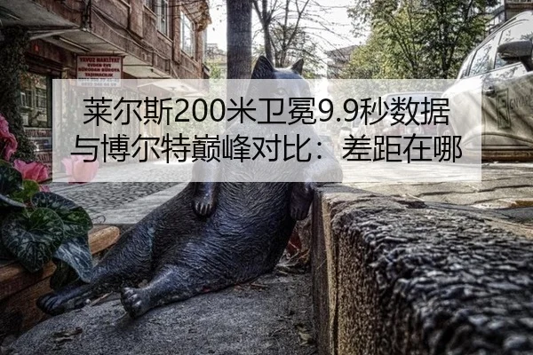 lai-er-si-mi-wei-mian-miao-shu-ju-yu-bo-er-te-dian-feng-dui-bi-cha-ju-zai-na-3-582.jpg