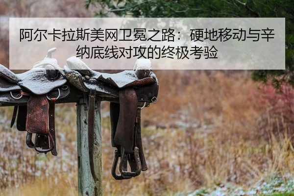 a-er-ka-la-si-mei-wang-wei-mian-zhi-lu-ying-di-yi-dong-yu-xin-na-di-xian-dui-gong-de-zhong-ji-kao-yan-2-926.jpg