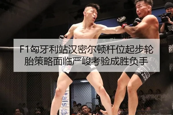 xiong-ya-li-zhan-han-mi-er-dun-gan-wei-qi-bu-lun-tai-ce-lve-mian-lin-yan-jun-kao-yan-cheng-sheng-fu-shou-2-758.jpg