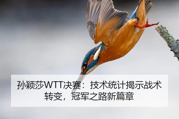 孙颖莎WTT决赛：技术统计揭示战术转变，冠军之路新篇章