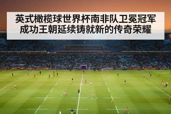 英式橄榄球世界杯南非队卫冕冠军成功王朝延续铸就新的传奇荣耀