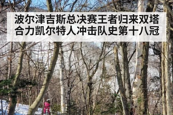 波尔津吉斯总决赛王者归来双塔合力凯尔特人冲击队史第十八冠